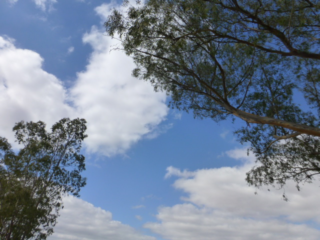 Odemira to Aljustrel – Bliss!